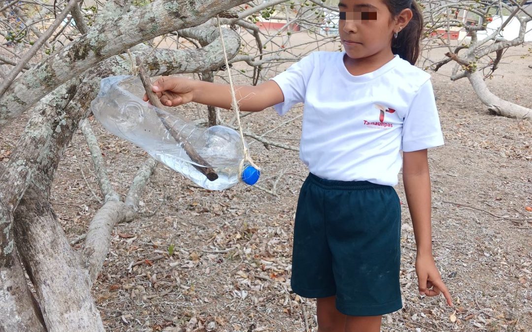 ELABORAN NIÑAS Y NIÑOS BEBEDEROS PARA AVES CON MATERIAL RECICLABLE