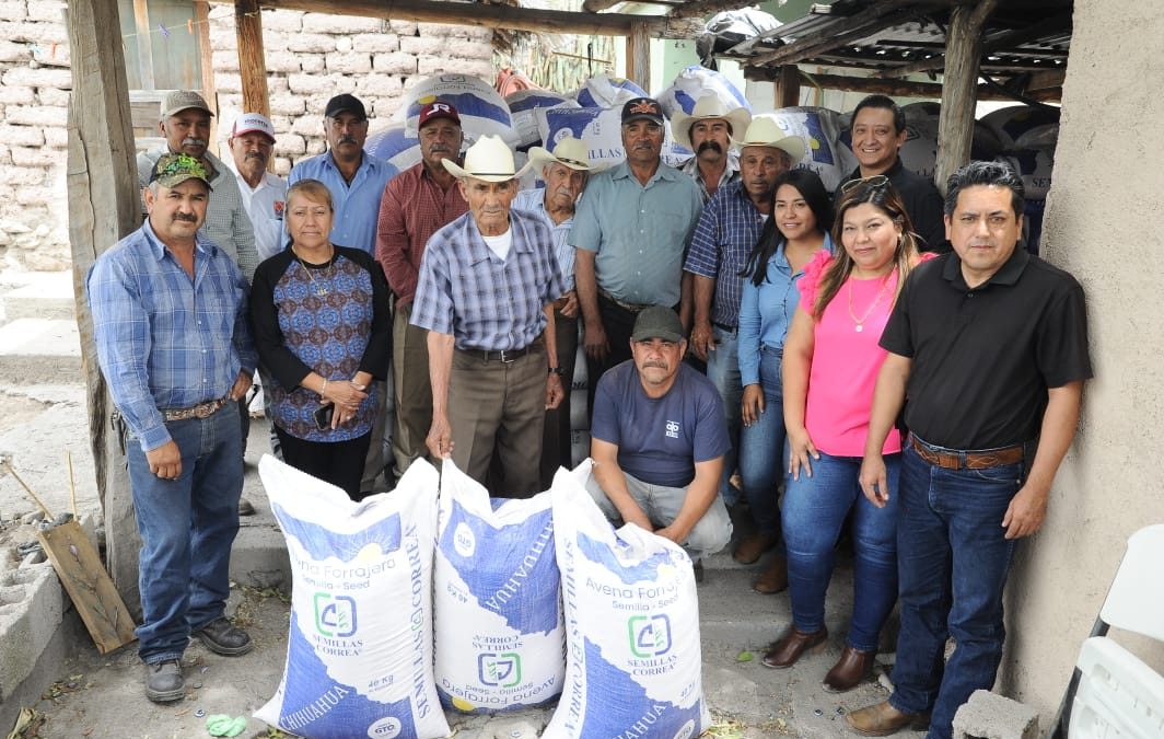 RECIBEN PRODUCTORES DEL ALTIPLANO SEMILLA DE AVENA FORRAJERA