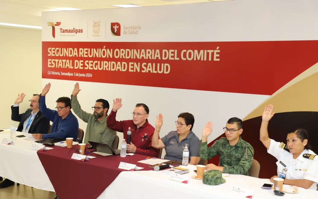 DEFINE COMITÉ ESTATAL DE SEGURIDAD EN SALUD ESTRATEGIAS PARA PREVENIR ENFERMEDADES