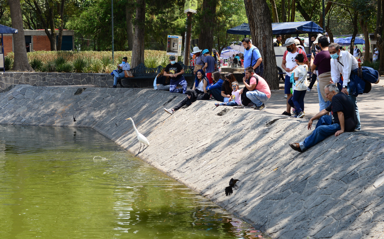 Prohíben perros y alimentar peces en el lago de Chapultepec