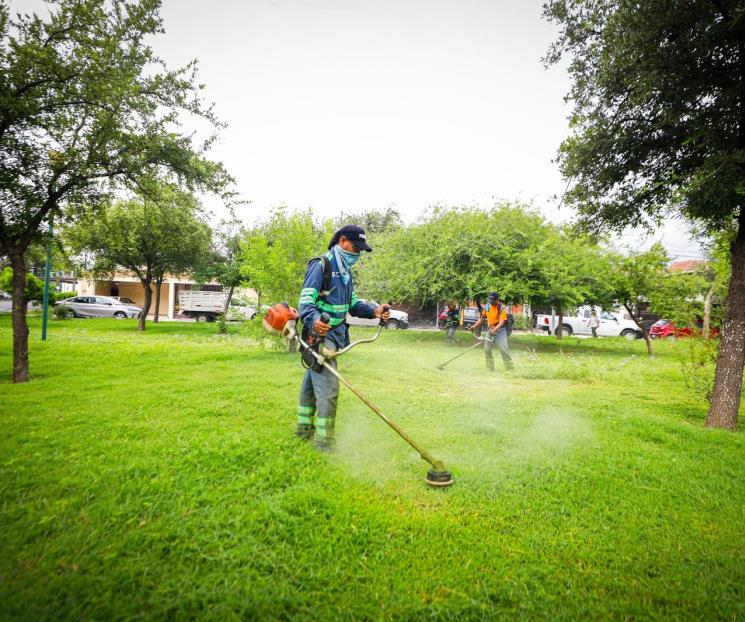 Arranca en Monterrey la semana de servicios públicos con deshierbe