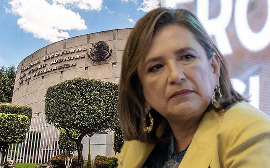 Gálvez acudirá a justicia interamericana si TEPJF no le reconoce interés jurídico para impugnar elección