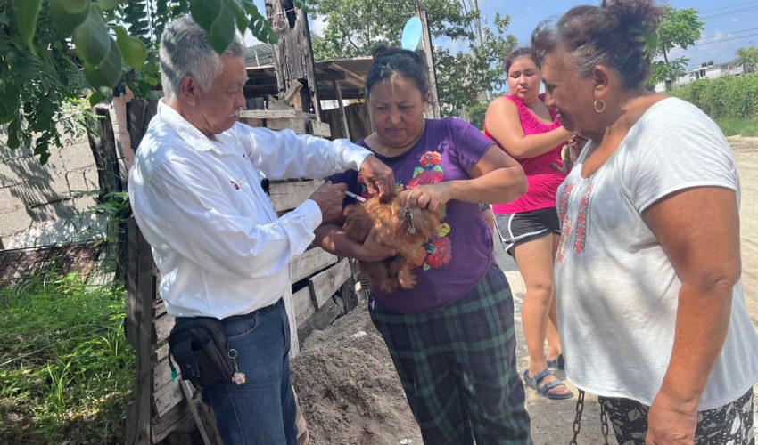 APLICARÁ LA SECRETARÍA DE SALUD MÁS DE 300 MIL VACUNAS A MASCOTAS