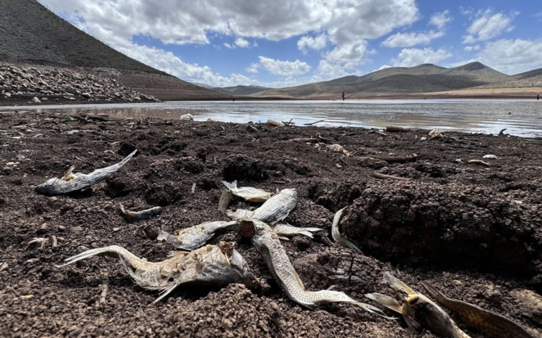 Presa de Chihuahua se seca pese a intensas lluvias en México