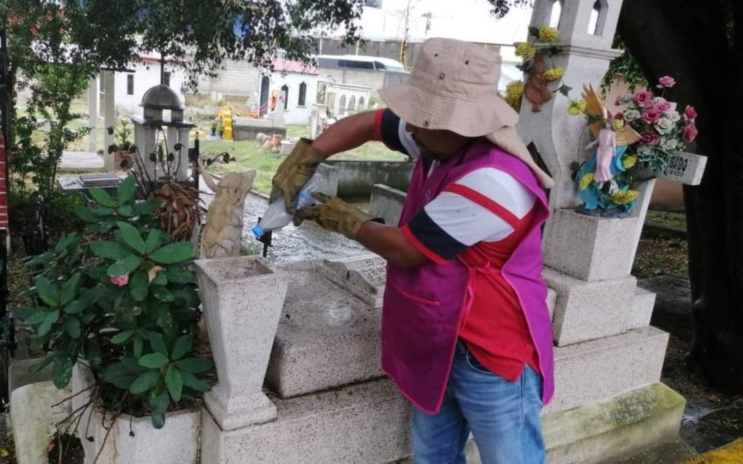 Piden usar flores artificiales en panteones para prevenir dengue en Día de Muertos