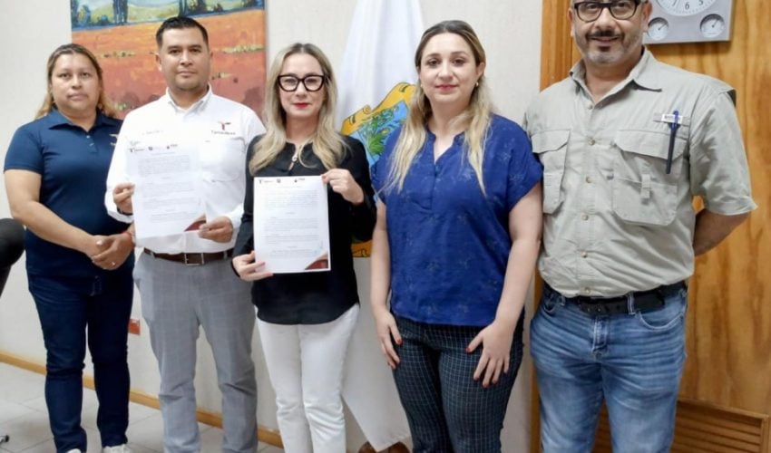 Dona ITEA guías de estudio a los CEDES de Tamaulipas