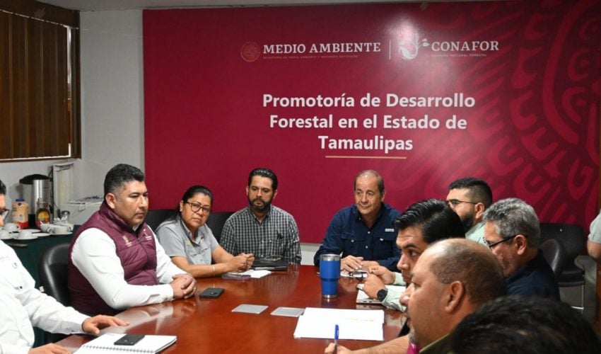 Realizan primera reunión ordinaria del Comité Estatal de Manejo del Fuego 2025