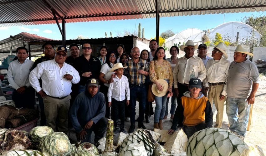 Promueven mezcal tamaulipeco en Puebla