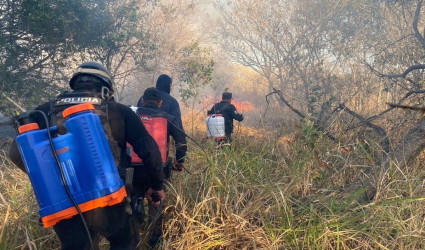 Activa SSPT Plan Tamaulipas por incendios forestales y de pastizales