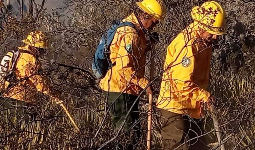 Refuerzan brigadistas de la SEDUMA combate a incendio de pastizales en Tula