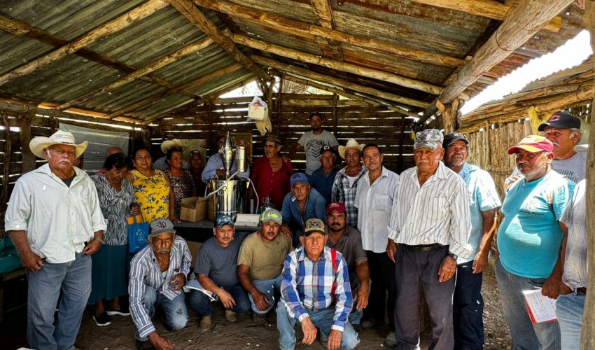 Impulsan extensionismo forestal en apoyo a productores tamaulipecos