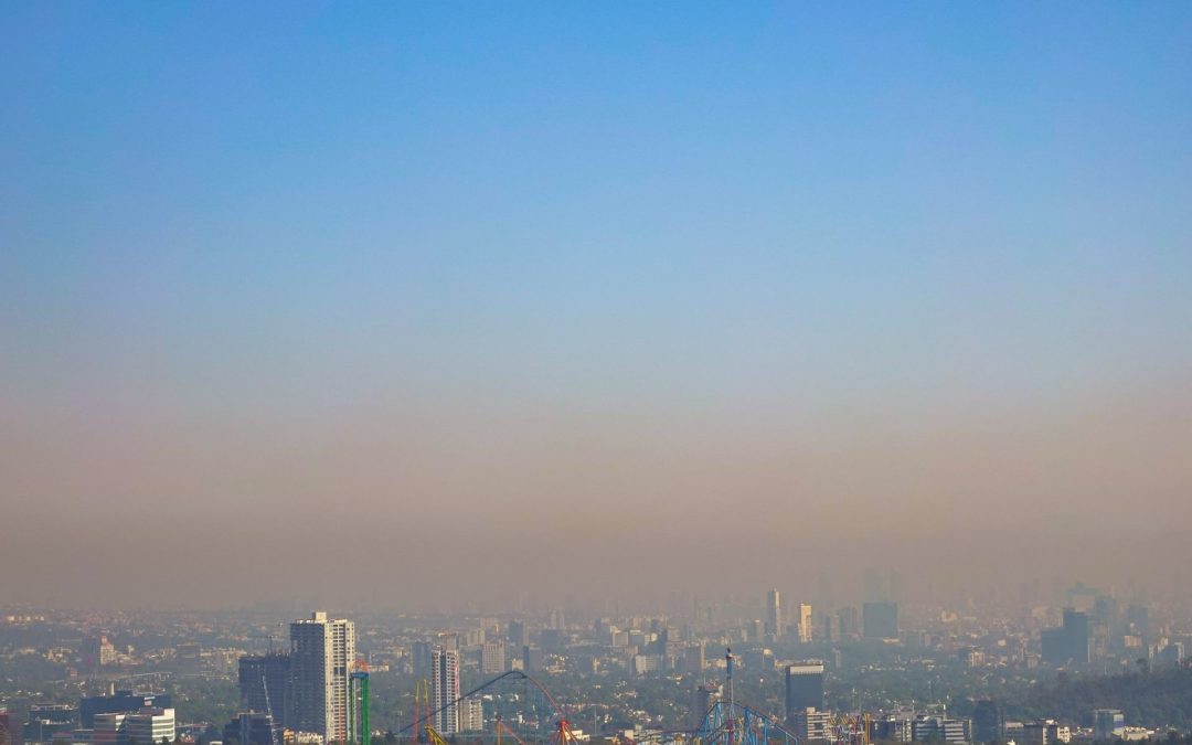 CDMX | Doble Hoy No Circula por contingencia ambiental
