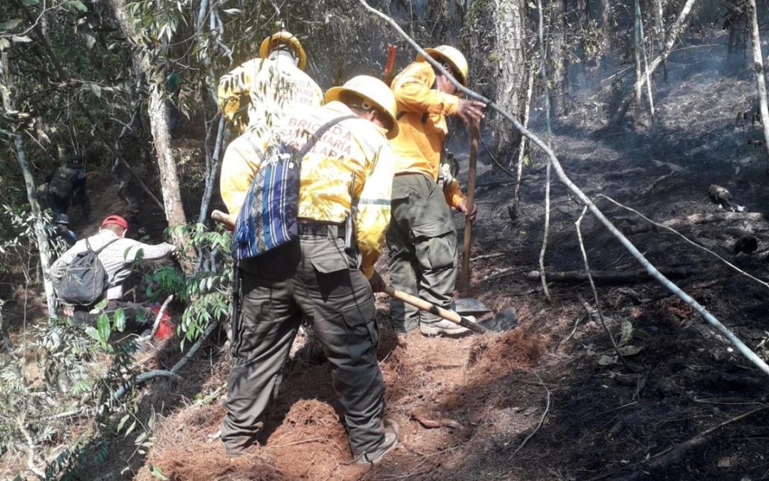 Reportan 11 incendios activos en Oaxaca; solo uno ha sido liquidado