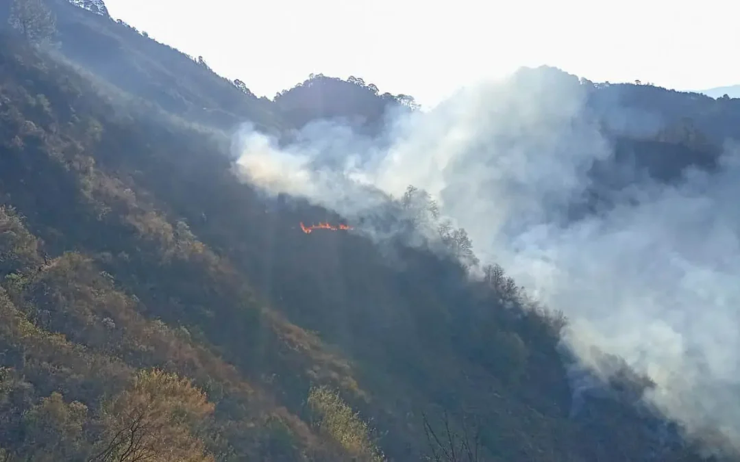 Comuneros piden ayuda para combatir incendios forestales en Oaxaca