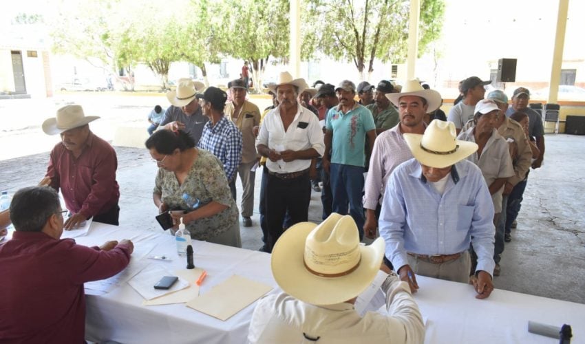 Abre Gobierno del Estado ventanillas para el registro de semilla de calidad