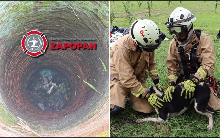 Bomberos de Zapopan rescatan a perro que cayó en pozo
