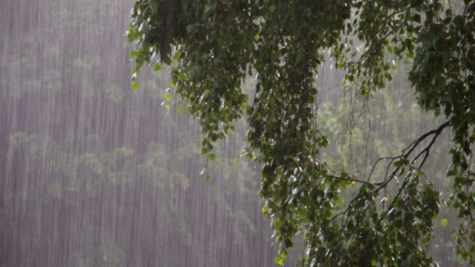 Pronostican lluvia fuerte para NL y descenso en la temperatura, ¿a partir de cuándo?