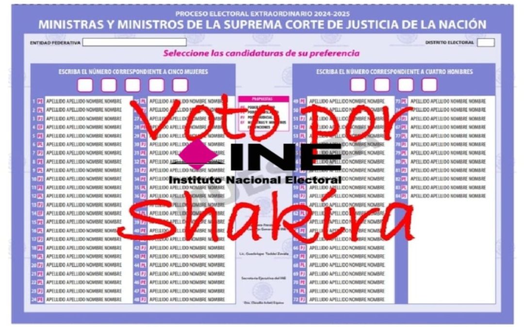 INE considera válidos los votos de protesta como el ‘Voto por Shakira’: Alcocer