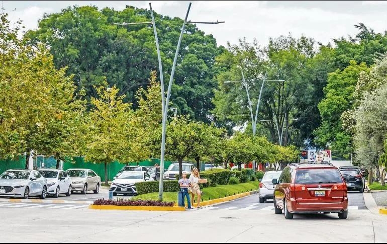 Colonia Monraz es la excepción en la ciudad: invierten vecinos en el cableado subterráneo