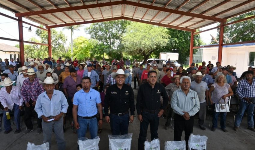 Programa estatal de fertilizante fortalece la productividad citrícola