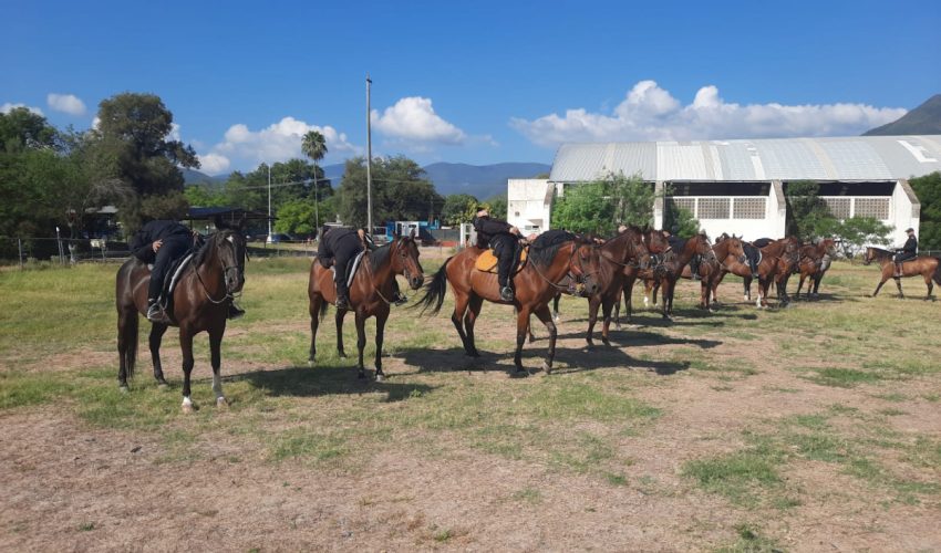 Agrupamiento Montado de la Guardia Estatal se fortalece con gimnasia ecuestre