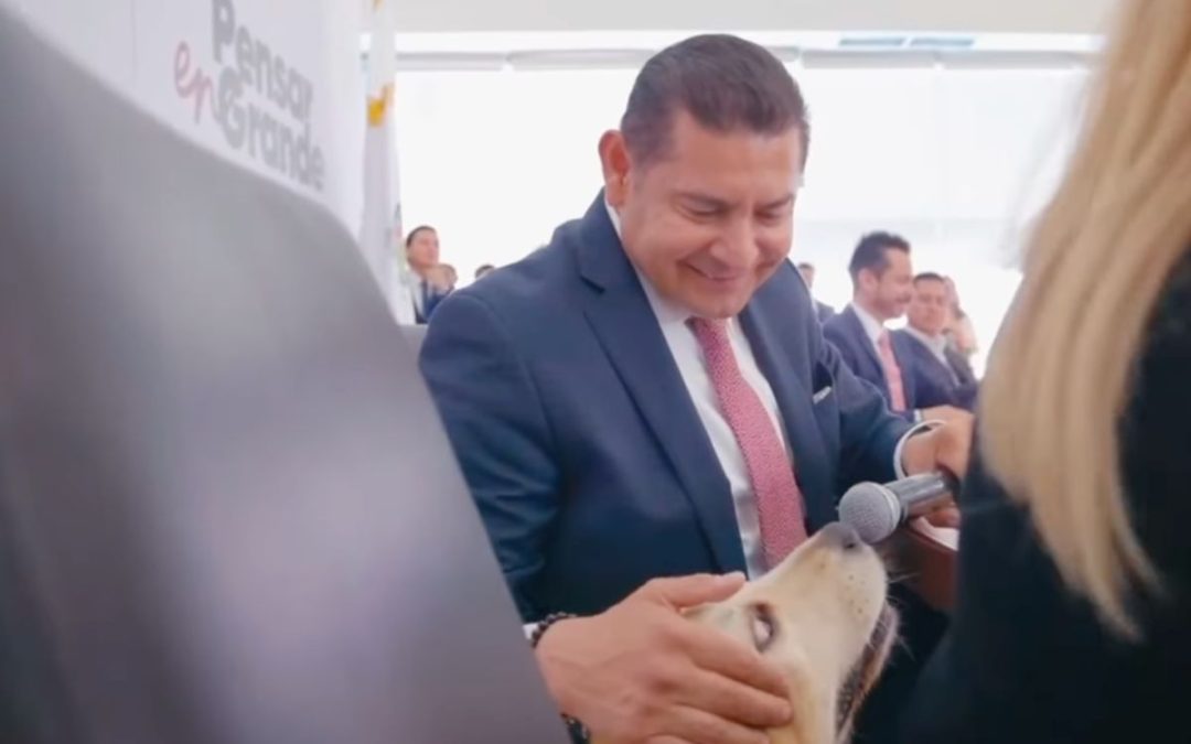Gobernador de Puebla lleva a su perrito Tomy a conferencia de prensa y lo entrevista