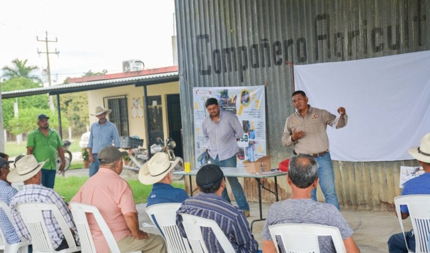 Productores tamaulipecos se suman a la prevención del gusano barrenador