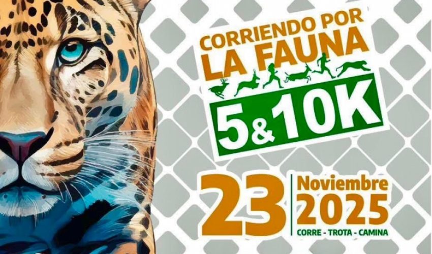 «Corriendo por la Fauna”, una estampida de solidaridad en pro de las especies