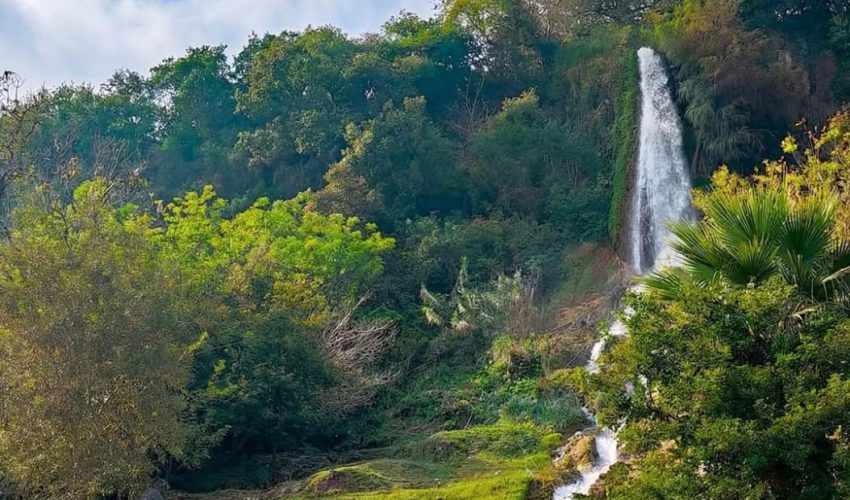 CRECERÁ AFLUENCIA Y DERRAMA CON LA VIRGEN DE LA MISERICORDIA EN HIDALGO