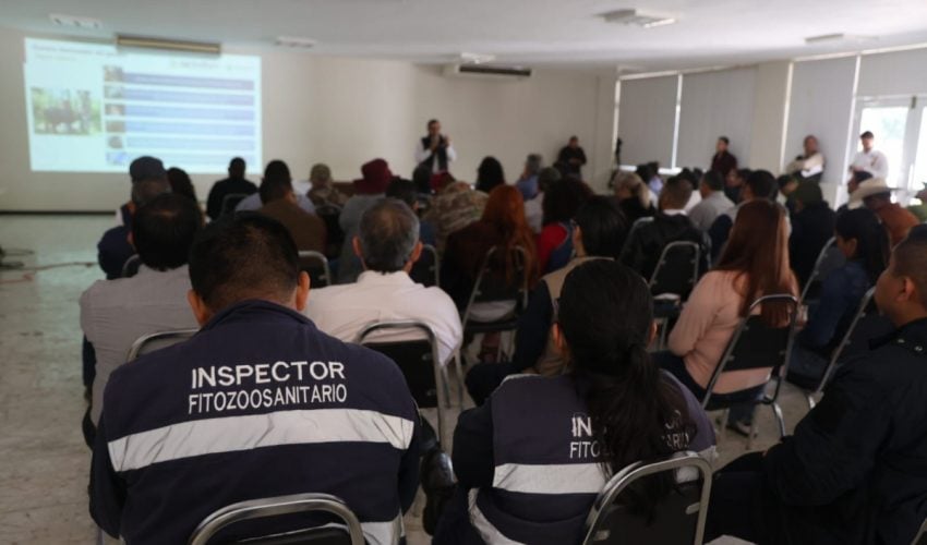 Capacitación permanente, clave para prevenir el GBG en Tamaulipas