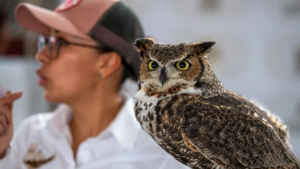 Escobedo participa en programa de conservación de aves nativas en escuelas