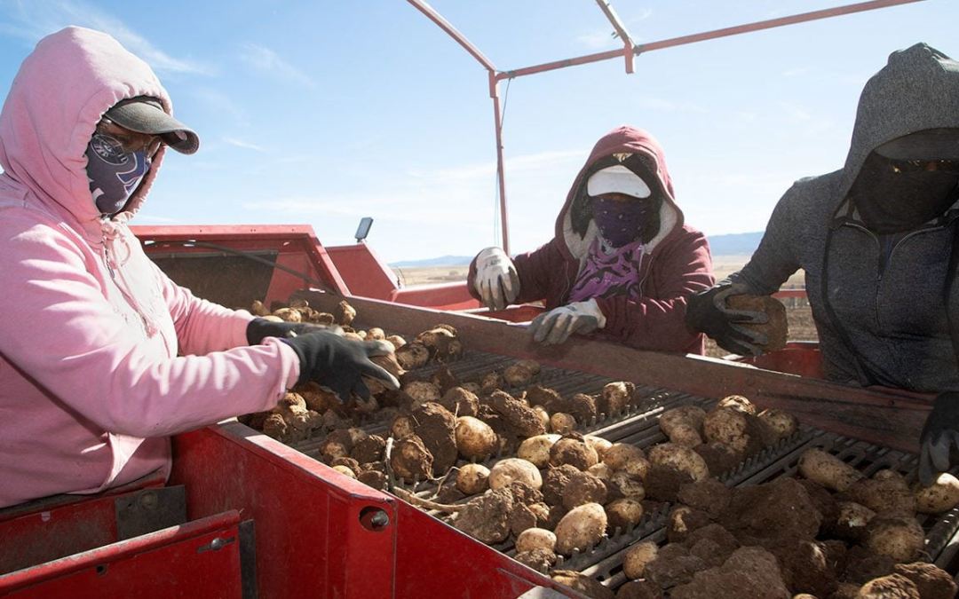 La actividad económica de México crece un 3.3% interanual en diciembre de 2025