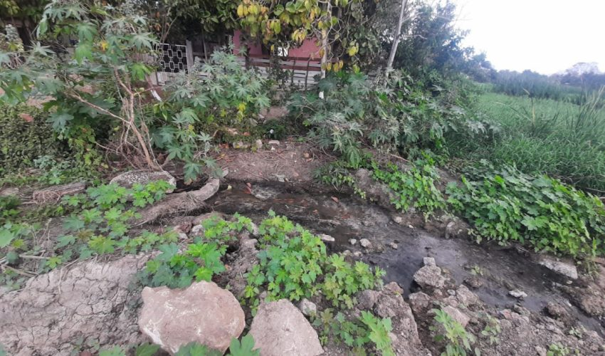 Interviene la PAUT ante presunto relleno de la Laguna Tierra Negra de Madero