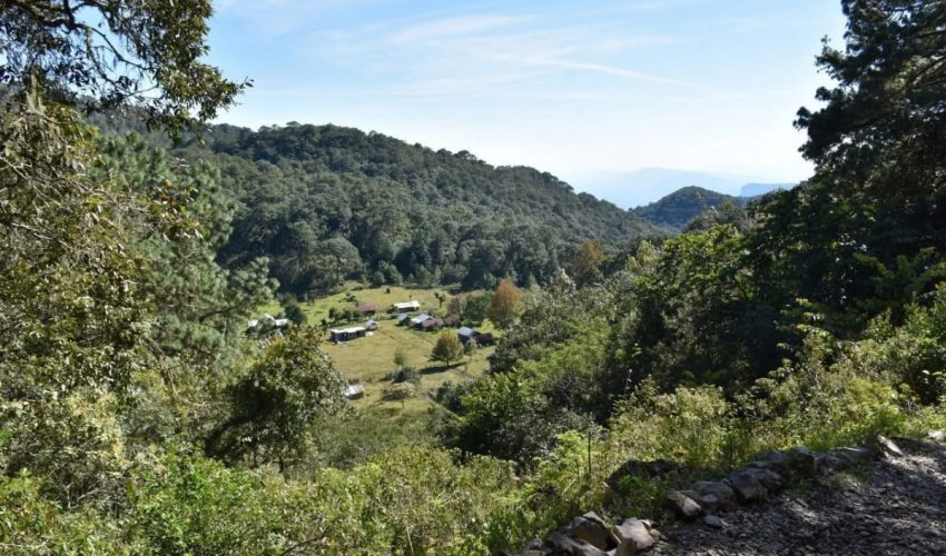 Vota por Tamaulipas en los premios: “Lo Mejor de México»