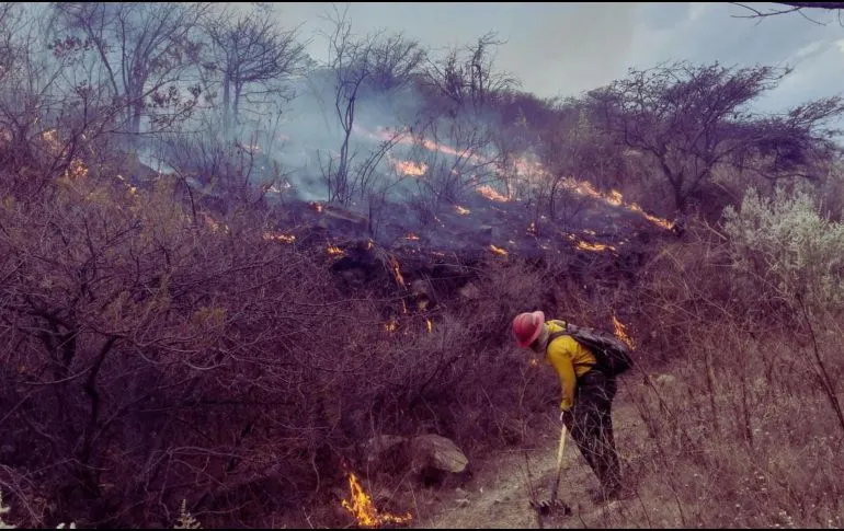 Se registran 12 incendios y dos invasiones ilegales en el Bosque La Primavera en 2026