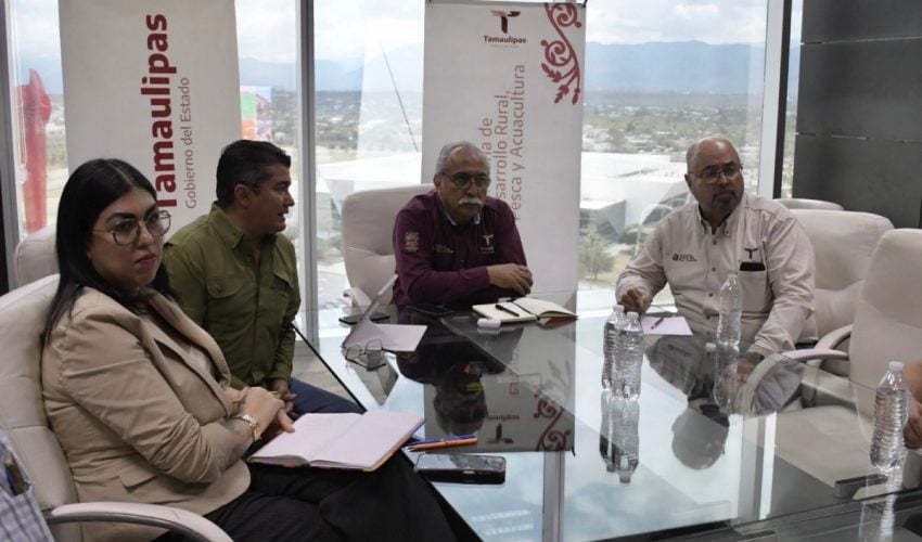 Estructura Tamaulipas proyecto para elevar la producción de carne de calidad