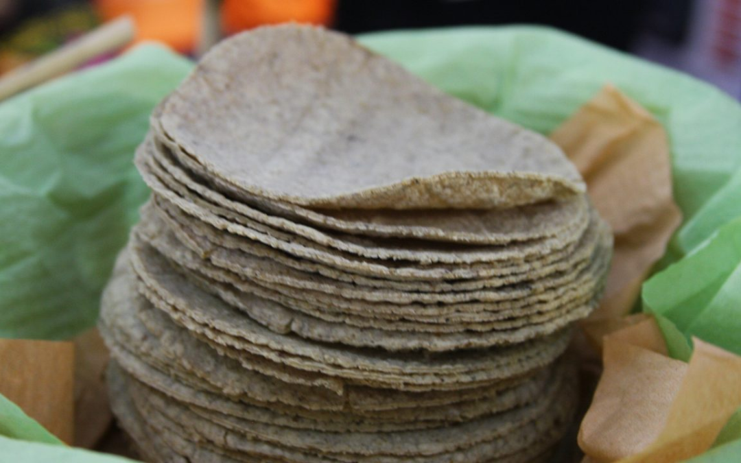 Alza del precio de la tortilla no tiene justificación: industria del maíz
