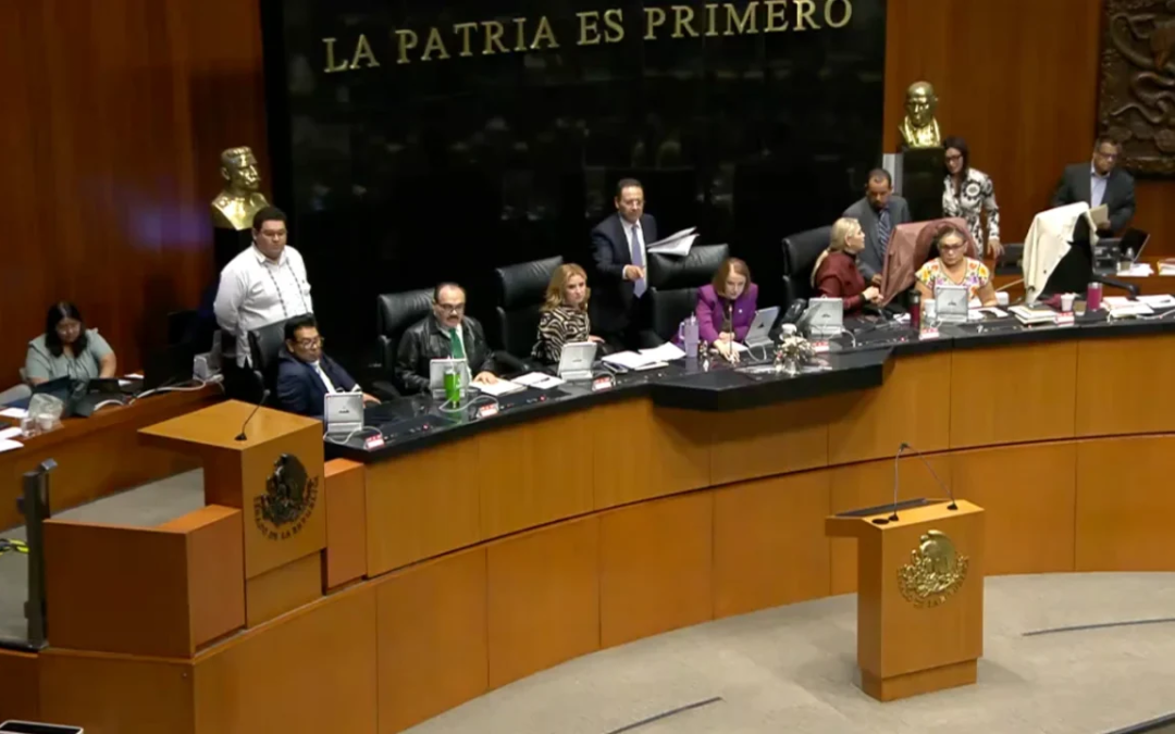 Senado aprueba reforma constitucional que incluye ‘injerencia extranjera’ como causal para anular elecciones